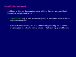 Synovial joints  (continued) In addition to the main features of the synovial joints there are some additional features that are common ly seen : Articular disc:  Help to hold the bones together. In some joints it is attached to only one of the bones. Labrum:  Some synovial joints have a fibrocartilaginous ring called labrum which deepens the articular surface for one of the bones. e.g. glenoid labrum 