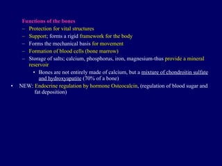 Function s  of the bones Protection for vital structures Support ;  forms a rigid  framework for the body Forms the mechanical basis  for movement Formation of blood cells (bone marrow) Storage of salts ;  calcium, phosphorus, iron, magnesium-thus  provide a mineral reservoir Bones are not entirely made of calcium, but a  mixture of chondroitin sulfate and hydroxyapatite  (70% of a bone) NEW:  Endocrine regulation by hormone Osteocalcin , (regulation of blood sugar and   fat deposition) 