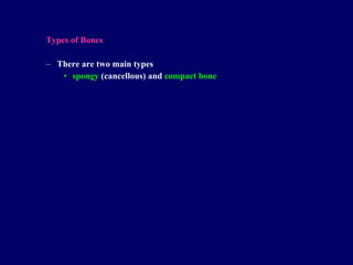 Types of Bones T here are t wo main types spongy  (cancellous)  and   compact bone 