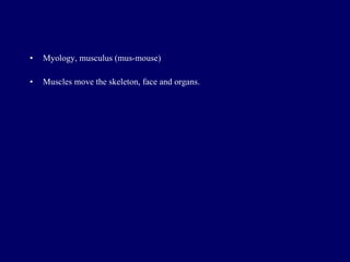 Myology, musculus (mus-mouse) Muscles move the skeleton, face and organs. 