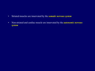 Striated muscle s are innervated by the  somatic nervous system Non-striated  and c ardiac muscle  are innervated by the  autonomic nervous system 
