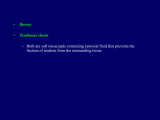 Bursae Tendinous sheats Both are  soft tissue pads containing synovial fluid that prevents the friction of tendons from the surrounding tissue. 