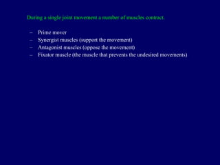 During a single joint movement a number of muscles contract. Prime mover Synergist muscles (support the movement) Antagonist muscles (oppose the movement) Fixator muscle (the muscle that prevents the undesired movements) 