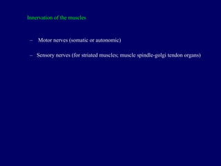 Innervation of the muscles Motor nerves  (somatic or autonomic) S ensory nerves ( for striated muscles;  muscle spindle-golgi tendon organs) 