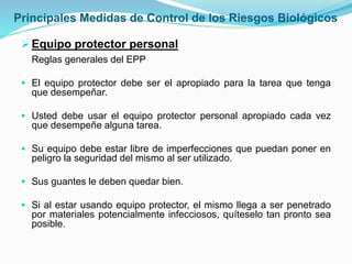 Principales Medidas de Control de los Riesgos Biológicos
Equipo protector personal
Reglas generales del EPP
 El equipo protector debe ser el apropiado para la tarea que tenga
que desempeñar.
 Usted debe usar el equipo protector personal apropiado cada vez
que desempeñe alguna tarea.
 Su equipo debe estar libre de imperfecciones que puedan poner en
peligro la seguridad del mismo al ser utilizado.
 Sus guantes le deben quedar bien.
 Si al estar usando equipo protector, el mismo llega a ser penetrado
por materiales potencialmente infecciosos, quíteselo tan pronto sea
posible.
 