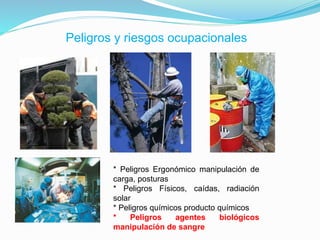 Peligros y riesgos ocupacionales
* Peligros Ergonómico manipulación de
carga, posturas
* Peligros Físicos, caídas, radiación
solar
* Peligros químicos producto químicos
* Peligros agentes biológicos
manipulación de sangre
 