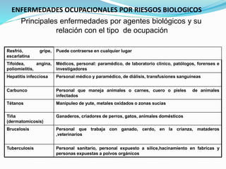 ENFERMEDADES OCUPACIONALES POR RIESGOS BIOLOGICOS
Principales enfermedades por agentes biológicos y su
relación con el tipo de ocupación
Resfrió, gripe,
escarlatina
Puede contraerse en cualquier lugar
Tifoidea, angina,
poliomielitis,
Médicos, personal: paramédico, de laboratorio clínico, patólogos, forenses e
investigadores
Hepatitis infecciosa Personal médico y paramédico, de diálisis, transfusiones sanguíneas
Carbunco Personal que maneja animales o carnes, cuero o pieles de animales
infectados
Tétanos Manipuleo de yute, metales oxidados o zonas sucias
Tiña
(dermatomicosis)
Ganaderos, criadores de perros, gatos, animales domésticos
Brucelosis Personal que trabaja con ganado, cerdo, en la crianza, mataderos
,veterinarios
Tuberculosis Personal sanitario, personal expuesto a silice,hacinamiento en fabricas y
personas expuestas a polvos orgánicos
 