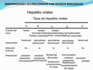 Fuente del
virus
heces sangre/
hemoderivados
Fluidos corporales
sangre /
hemoderivados
Fluid. corporales
sangre /
hemoderivados
Fluid corporales
heces
Ruta de
transmisión
fecal-oral percutanea
permucosa
percutanea
permucosa
percutanea
permucosa
fecal-oral
Infección
Crónica
no si si si no
Prevención pre/post-
exposición
immunización
pre/post-
exposición
immunización
Screening de
Donantes
Modificación
comportamiento
de riesgo
Immunization
pre/post
exposición;
Asegurar
provisión de
agua potable
Modificación
comportamiento
de riesgo
ENFERMEDADES OCUPACIONALES POR RIESGOS BIOLOGICOS
Hepatitis virales
Tipos de Hepatitis virales
A B C D E
 