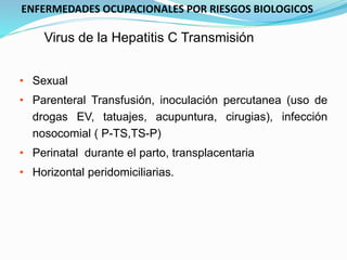 • Sexual
• Parenteral Transfusión, inoculación percutanea (uso de
drogas EV, tatuajes, acupuntura, cirugias), infección
nosocomial ( P-TS,TS-P)
• Perinatal durante el parto, transplacentaria
• Horizontal peridomiciliarias.
Virus de la Hepatitis C Transmisión
ENFERMEDADES OCUPACIONALES POR RIESGOS BIOLOGICOS
 