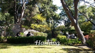 Hashing
Los Gatos, California
 