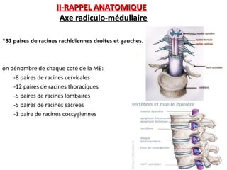 Les Racines Rachidiennes 02c-Fractures du rachis dorso-lombaire.ppt