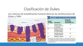 Clasificación de Dukes
Los sistemas de estadificación tumoral abarcan las clasificaciones de
Dukes y TNM
 