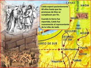 Caleb esperó pacientemente
40 años hasta que las
promesas de Dios se
cumpliesen por fin.
Cuando la tierra fue
repartida, Caleb fue
nuevamente el representante
de la tribu de Judá.
 