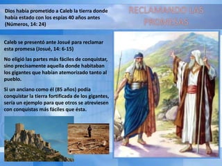 Dios había prometido a Caleb la tierra donde
había estado con los espías 40 años antes
(Números, 14: 24)
Caleb se presentó ante Josué para reclamar
esta promesa (Josué, 14: 6-15)
No eligió las partes más fáciles de conquistar,
sino precisamente aquella donde habitaban
los gigantes que habían atemorizado tanto al
pueblo.
Si un anciano como él (85 años) podía
conquistar la tierra fortificada de los gigantes,
sería un ejemplo para que otros se atreviesen
con conquistas más fáciles que ésta.
 
