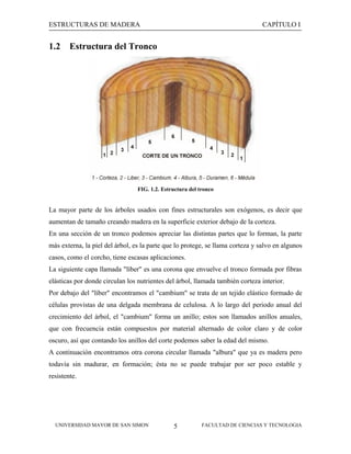 ESTRUCTURAS DE MADERA

1.2

CAPÍTULO I

Estructura del Tronco

FIG. 1.2. Estructura del tronco

La mayor parte de los árboles usados con fines estructurales son exógenos, es decir que
aumentan de tamaño creando madera en la superficie exterior debajo de la corteza.
En una sección de un tronco podemos apreciar las distintas partes que lo forman, la parte
más externa, la piel del árbol, es la parte que lo protege, se llama corteza y salvo en algunos
casos, como el corcho, tiene escasas aplicaciones.
La siguiente capa llamada "líber" es una corona que envuelve el tronco formada por fibras
elásticas por donde circulan los nutrientes del árbol, llamada también corteza interior.
Por debajo del "líber" encontramos el "cambium" se trata de un tejido elástico formado de
células provistas de una delgada membrana de celulosa. A lo largo del periodo anual del
crecimiento del árbol, el "cambium" forma un anillo; estos son llamados anillos anuales,
que con frecuencia están compuestos por material alternado de color claro y de color
oscuro, así que contando los anillos del corte podemos saber la edad del mismo.
A continuación encontramos otra corona circular llamada "albura" que ya es madera pero
todavía sin madurar, en formación; ésta no se puede trabajar por ser poco estable y
resistente.

UNIVERSIDAD MAYOR DE SAN SIMON

5

FACULTAD DE CIENCIAS Y TECNOLOGIA

 