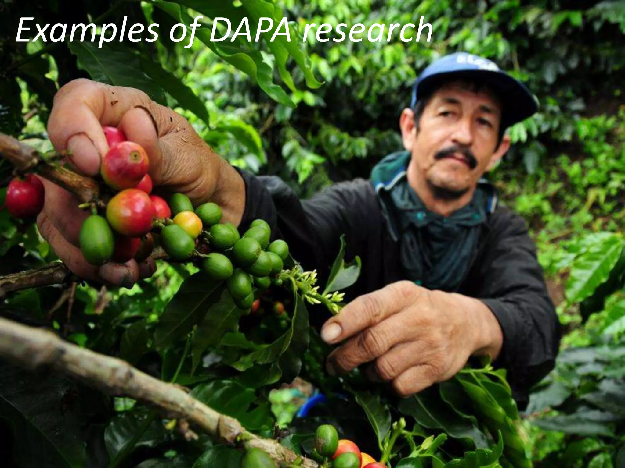B
31
Examples of DAPA research
 
