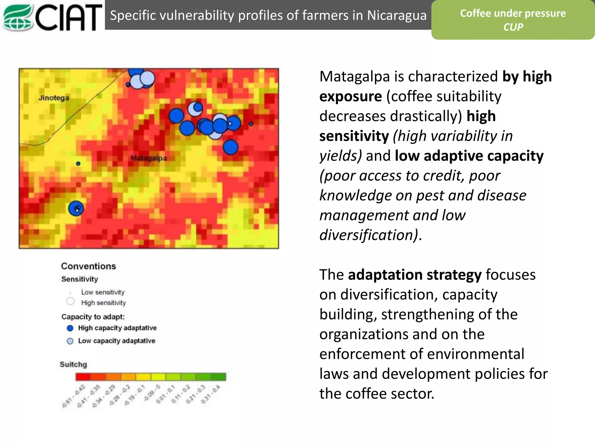 Specific vulnerability profiles of farmers in Nicaragua Coffee under pressure
CUP
Matagalpa is characterized by high
exposure (coffee suitability
decreases drastically) high
sensitivity (high variability in
yields) and low adaptive capacity
(poor access to credit, poor
knowledge on pest and disease
management and low
diversification).
The adaptation strategy focuses
on diversification, capacity
building, strengthening of the
organizations and on the
enforcement of environmental
laws and development policies for
the coffee sector.
 