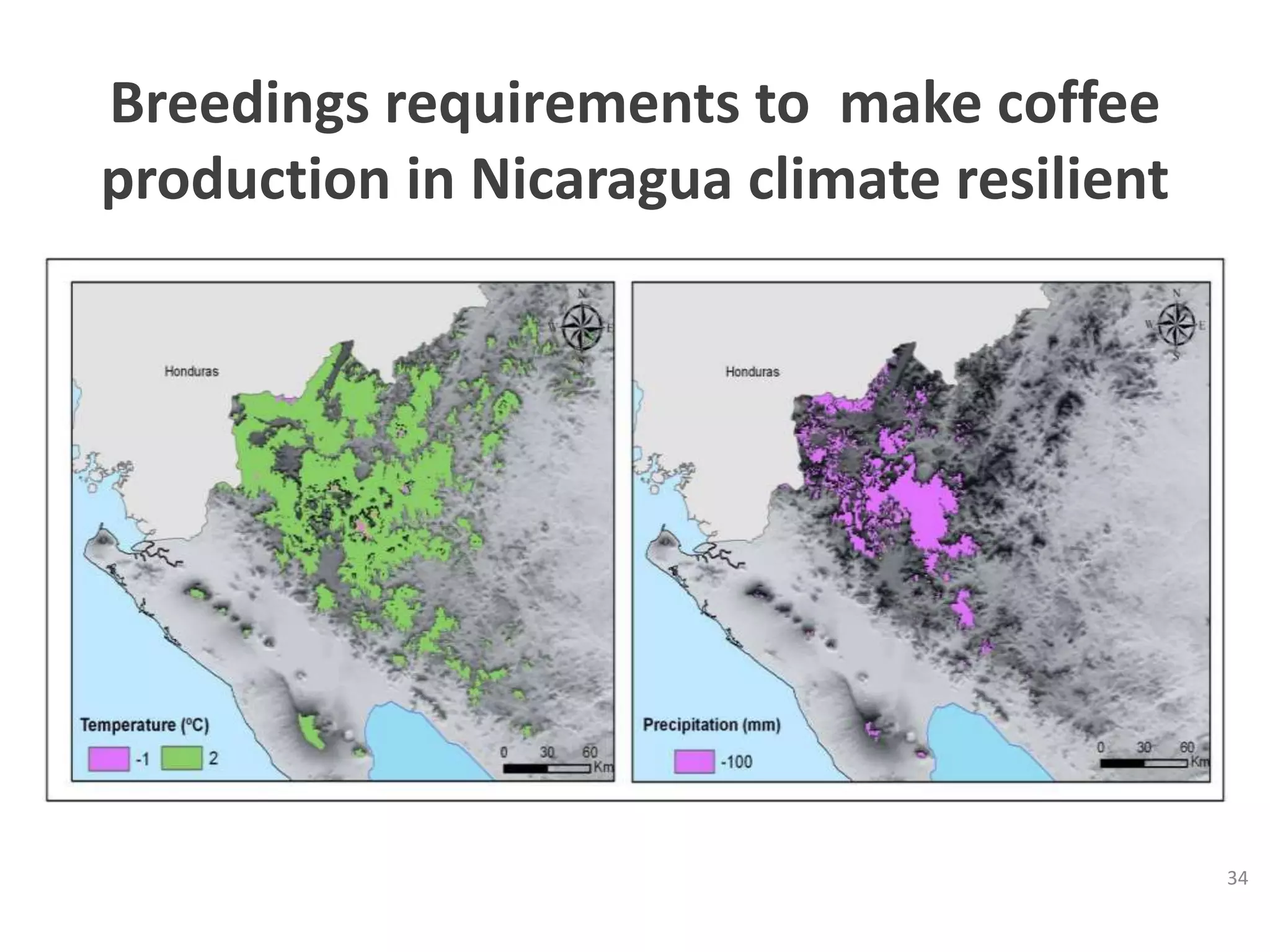 34
Breedings requirements to make coffee
production in Nicaragua climate resilient
 
