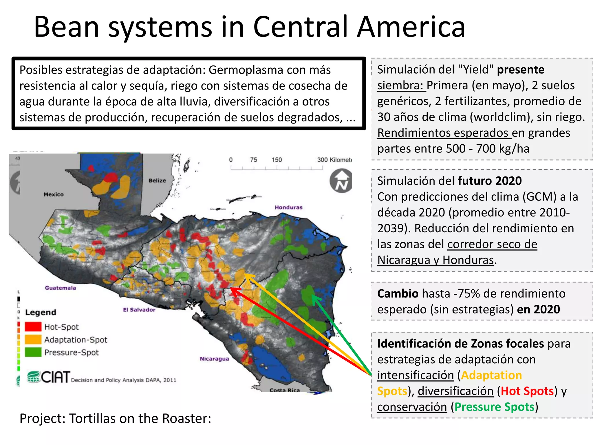 Simulación del "Yield" presente
siembra: Primera (en mayo), 2 suelos
genéricos, 2 fertilizantes, promedio de
30 años de clima (worldclim), sin riego.
Rendimientos esperados en grandes
partes entre 500 - 700 kg/ha
Simulación del futuro 2020
Con predicciones del clima (GCM) a la
década 2020 (promedio entre 2010-
2039). Reducción del rendimiento en
las zonas del corredor seco de
Nicaragua y Honduras.
Cambio hasta -75% de rendimiento
esperado (sin estrategias) en 2020
Zonas de alta producción
Identificación de Zonas focales para
estrategias de adaptación con
intensificación (Adaptation
Spots), diversificación (Hot Spots) y
conservación (Pressure Spots)
Posibles estrategias de adaptación: Germoplasma con más
resistencia al calor y sequía, riego con sistemas de cosecha de
agua durante la época de alta lluvia, diversificación a otros
sistemas de producción, recuperación de suelos degradados, ...
Bean systems in Central America
Project: Tortillas on the Roaster:
 