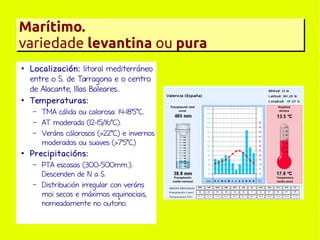 Marítimo.
variedade levantina ou pura
●

●

Localización: litoral mediterráneo
entre o S. de Tarragona e o centro
de Alacante, Illas Baleares..
Temperaturas:
–
–
–

●

TMA cálida ou calorosa: 14-18'5ºC.
AT moderada (12-15/16ºC).
Veráns cálorosos (>22ºC) e invernos
moderados ou suaves (>7'5ºC)

Precipitacións:
–

–

PTA escasas (300-500mm.).
Descenden de N a S.
Distribución irregular con veráns
moi secos e máximos equinociais,
nomeadamente no outono.

 
