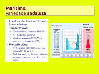Marítimo.
variedade andaluza
●

●

Localización: litoral andaluz entre
Huelva e Málaga.
Temperaturas:
–
–
–

●

TMA cálida ou calorosa: 14-18'5ºC.
AT moderada (12-15ºC).
Veráns calorosos (22-26ººC) e
invernos moi suaves (>10ºC)

Precipitacións:
–

–

PTA escasas: 300-600 mm., que
descenden de W a E.
Distribución irregular con máximos
en outono-inverno e veráns moi
secos.

 