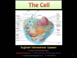 Cell Human Anatomy and Physiology by Sughosh Upasani