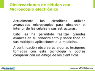 Observaciones de células con Microscopio electrónico Actualmente los científicos utilizan avanzados microscopios para observar el interior de las células y sus estructuras. Esto les ha permitido realizar grandes avances en su conocimiento y sobre todo en sus múltiples aplicaciones a la medicina. A continuación observarás algunas imágenes tomadas con esta tecnología y podrás comparar con un dibujo de los científicos. 