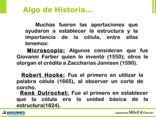 Muchas fueron las aportaciones que ayudaron a establecer la estructura y la importancia de la célula, entre ellas tenemos: Microscopio:  Algunos consideran que fue Giovanni Farber quien lo inventó (1550); otros le otorgan el crédito a Zaccharias Jannsen (1590). Robert Hooke:  Fue el primero en utilizar la palabra célula (1665), al observar un corte de corcho. René Dutrochet:  Fue el primero en establecer que la célula era la unidad básica de la estructura(1824). Algo de Historia… 