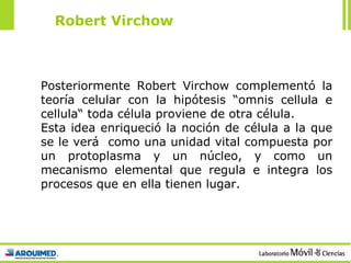 Posteriormente Robert Virchow complementó la teoría celular con la hipótesis “omnis cellula e cellula“ toda célula proviene de otra célula. Esta idea enriqueció la noción de célula a la que se le verá  como una unidad vital compuesta por un protoplasma y un núcleo, y como un mecanismo elemental que regula e integra los procesos que en ella tienen lugar. Robert Virchow 