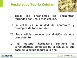 Postulados Teoría Celular Todos los organismos se encuentran formados por una o mas células.  La célula es la unidad de anatómica y fisiológica de todo ser vivo. III. Toda célula procede por división de otra preexistente. IV. El material hereditario contiene las características genéticas de la célula, la que pasa de la célula madre a la hija. 