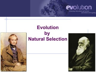 Evolution
                    by
             Natural Selection




AP Biology                       2006-2007
 