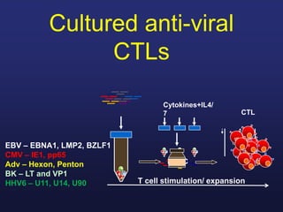 T cell stimulation/ expansion
PBMC
CTL
Cytokines+IL4/
7
EBV – EBNA1, LMP2, BZLF1
CMV – IE1, pp65
Adv – Hexon, Penton
BK – LT and VP1
HHV6 – U11, U14, U90
Cultured anti-viral
CTLs
 