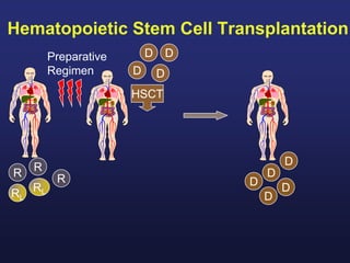 HSCT
D
RL
R
RL
R
R
D
D
D
D
D
D
D
D
Hematopoietic Stem Cell Transplantation
Preparative
Regimen
 