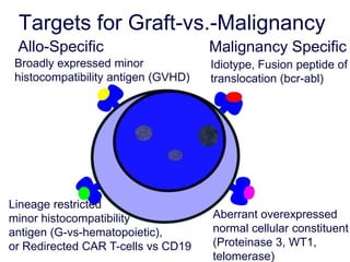 Targets for Graft-vs.-Malignancy
Broadly expressed minor
histocompatibility antigen (GVHD)
Lineage restricted
minor histocompatibility
antigen (G-vs-hematopoietic),
or Redirected CAR T-cells vs CD19
Aberrant overexpressed
normal cellular constituent
(Proteinase 3, WT1,
telomerase)
Allo-Specific Malignancy Specific
Idiotype, Fusion peptide of
translocation (bcr-abl)
 