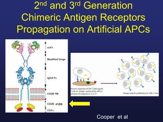 2nd and 3rd Generation
Chimeric Antigen Receptors
Propagation on Artificial APCs
Cooper et al
41BB
 