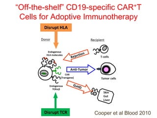 “Off-the-shelf” CD19-specific CAR+T
Cells for Adoptive Immunotherapy
Cooper et al Blood 2010
 