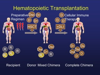 HSCT +DLI
DT
DNK
D
RLRL
R
RL R
R
DB
Dsc
DT
DNK
D
DD
Dsc
D
DT
DT
Dsc
D
Complete ChimeraRecipient Donor Mixed Chimera
Hematopoietic Transplantation
Preparative
Regimen
R
Cellular Immune
Therapy
 