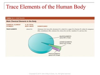 02 [chapter 2 the chemical level of organization] | PPT