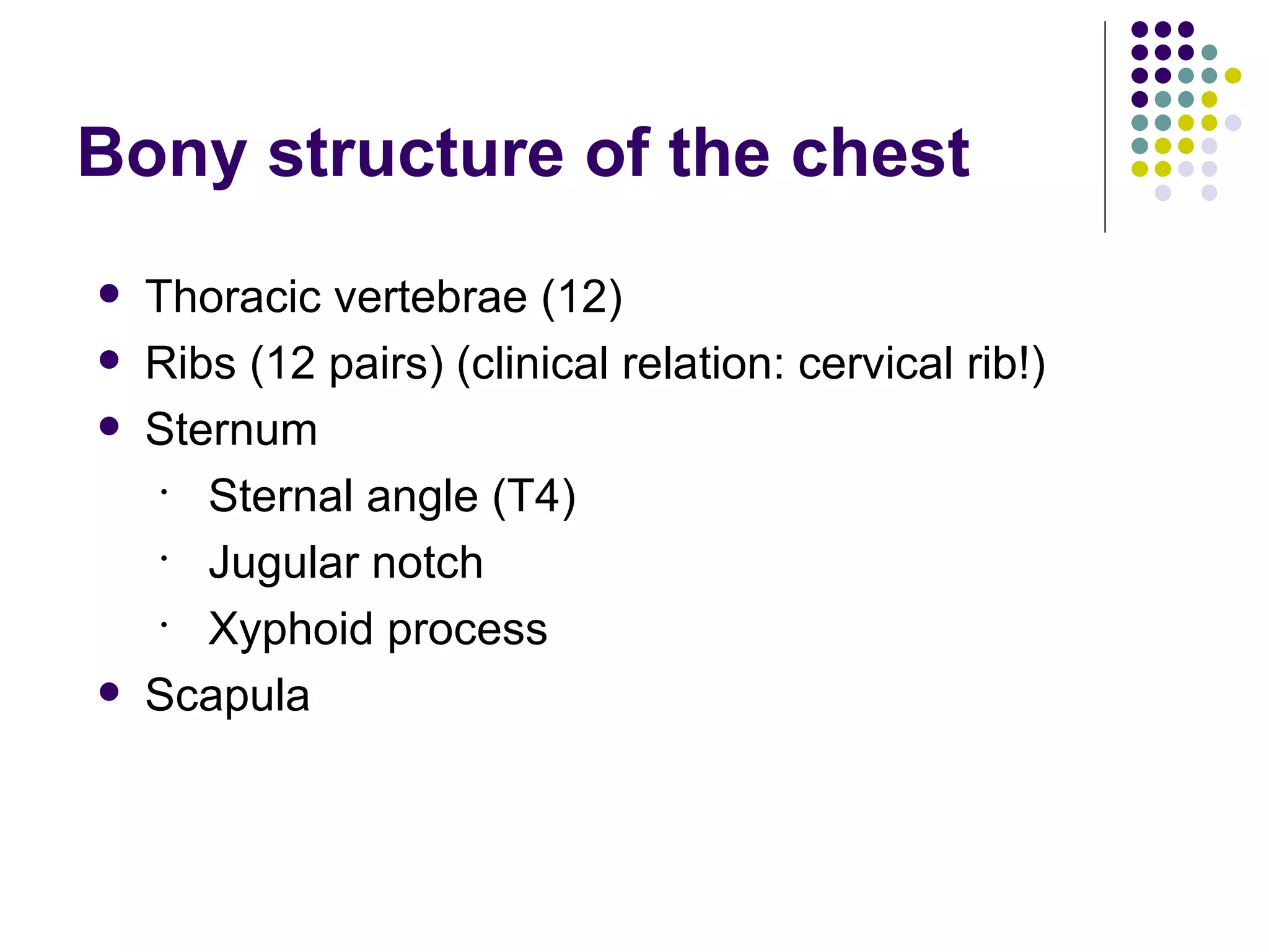 Bonye Process chest | PPT