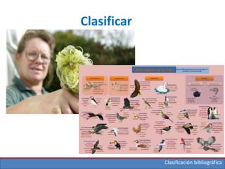 Clasificación bibliográfica
Clasificar
 