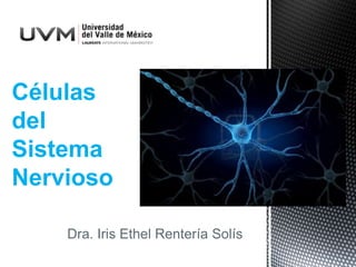 Dra. Iris Ethel Rentería Solís
Células
del
Sistema
Nervioso
 