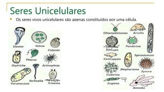 02 Célula unidade na constituição dos seres vivos.ppt