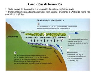 ➢ Morte masiva de fitoplancton e acumulación da materia orgánica e arxila
➢ Transformación en condicións anaerobias (sen osíxeno) orixinando o SAPROPEL (lama rica
en materia orgánica)
Condicións de formación
 