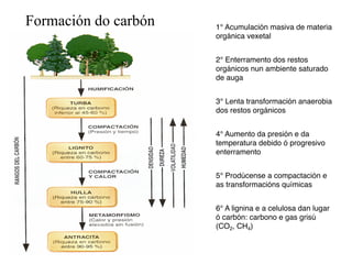 1° Acumulación masiva de materia
orgánica vexetal
2° Enterramento dos restos
orgánicos nun ambiente saturado
de auga
3° Lenta transformación anaerobia
dos restos orgánicos
4° Aumento da presión e da
temperatura debido ó progresivo
enterramento
5° Prodúcense a compactación e
as transformacións químicas
6° A lignina e a celulosa dan lugar
ó carbón: carbono e gas grisú
(CO2, CH4)
Formación do carbón
 