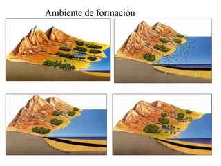 Ambiente de formación
 
