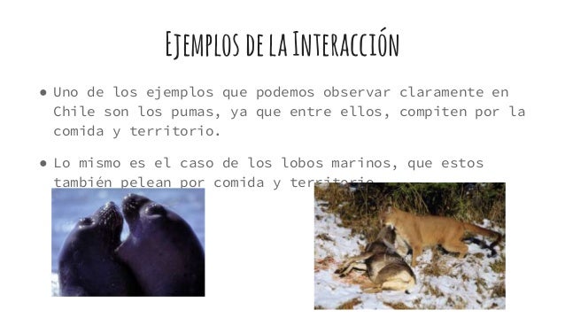 Competencia intraespecífica