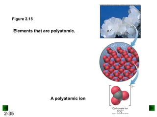 2-35
A polyatomic ion
Figure 2.15
Elements that are polyatomic.
 