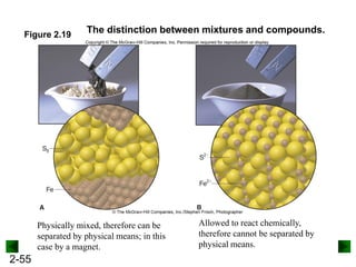 2-55
Figure 2.19
The distinction between mixtures and compounds.
Physically mixed, therefore can be
separated by physical means; in this
case by a magnet.
Allowed to react chemically,
therefore cannot be separated by
physical means.
 