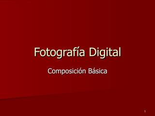 Fotografía Digital Composición Básica 