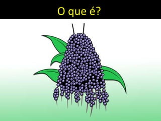 O que é?
 